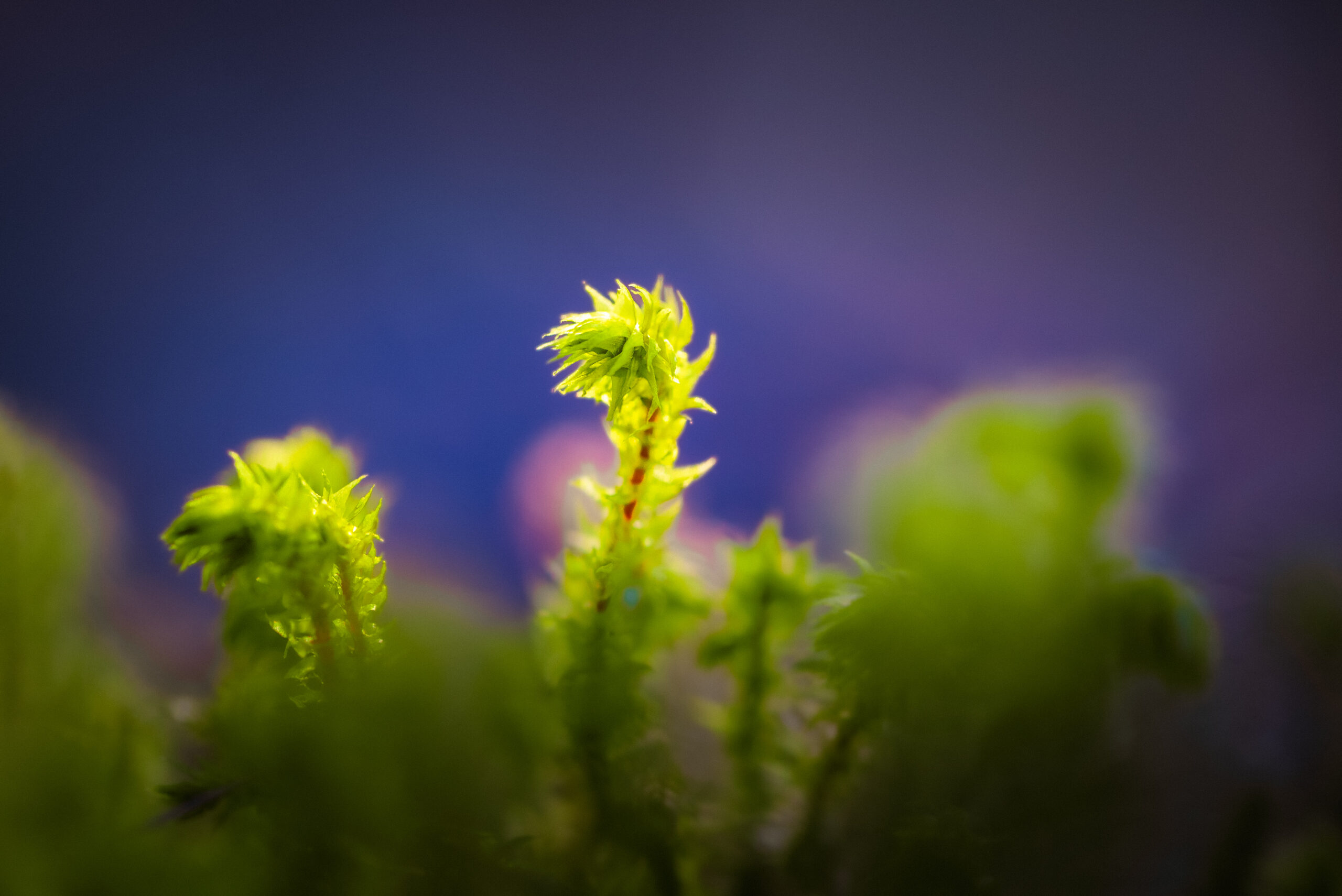 Haku LUT-yliopiston ja Ekhvan yhteisprofessuuriin käynnistyi 